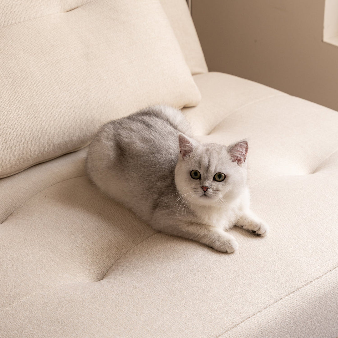 Modern cat scratch resistant fabric 1 seater sofa bed macaron situational feels.