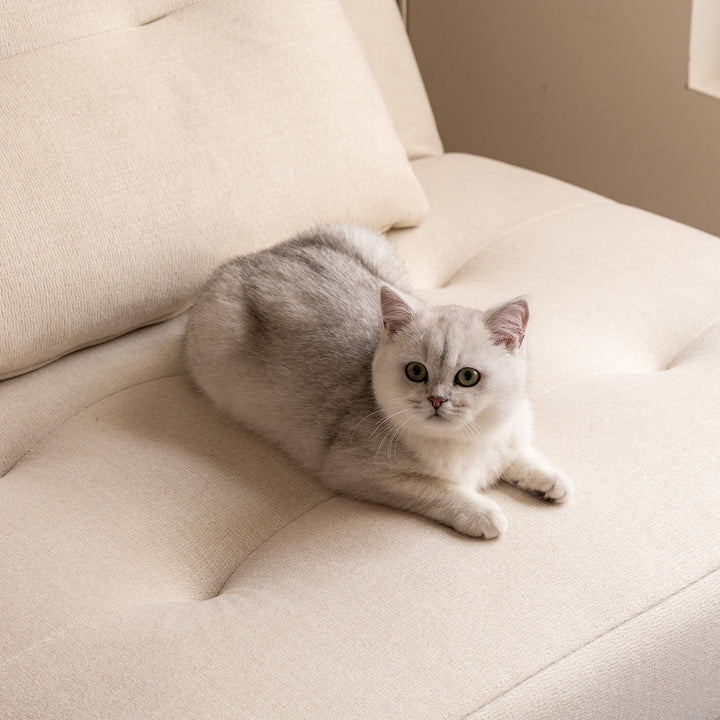 Modern cat scratch resistant fabric 1 seater sofa bed macaron situational feels.