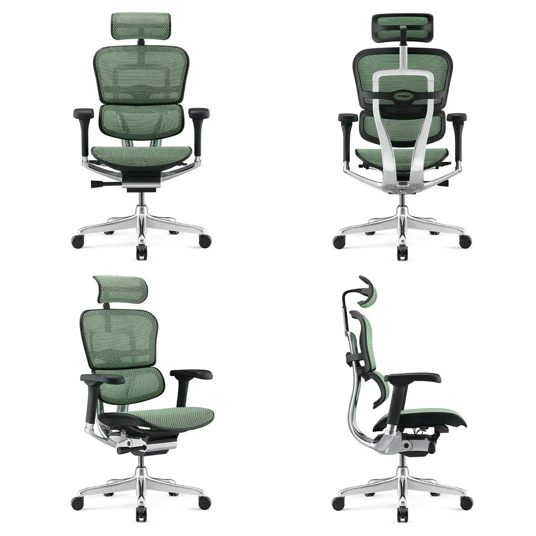 Modern Mesh Ergonomic Office Chair Black Frame ERGOHUMAN E2