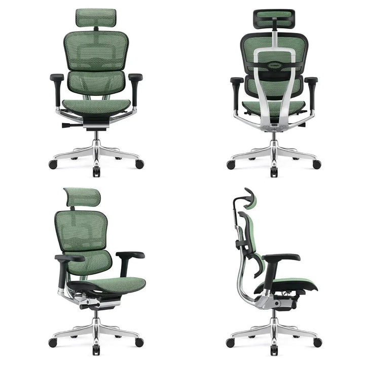 Modern Mesh Ergonomic Office Chair Black Frame ERGOHUMAN E2