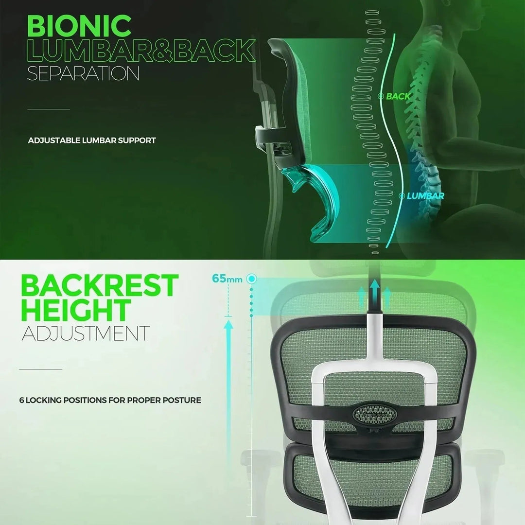 Modern Mesh Ergonomic Office Chair Black Frame ERGOHUMAN E2