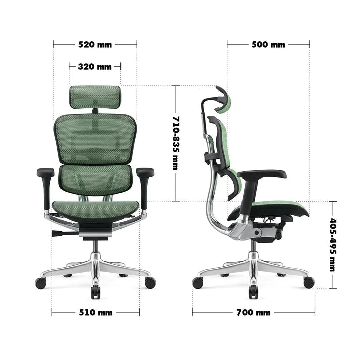 Modern Mesh Ergonomic Office Chair Black Frame ERGOHUMAN E2