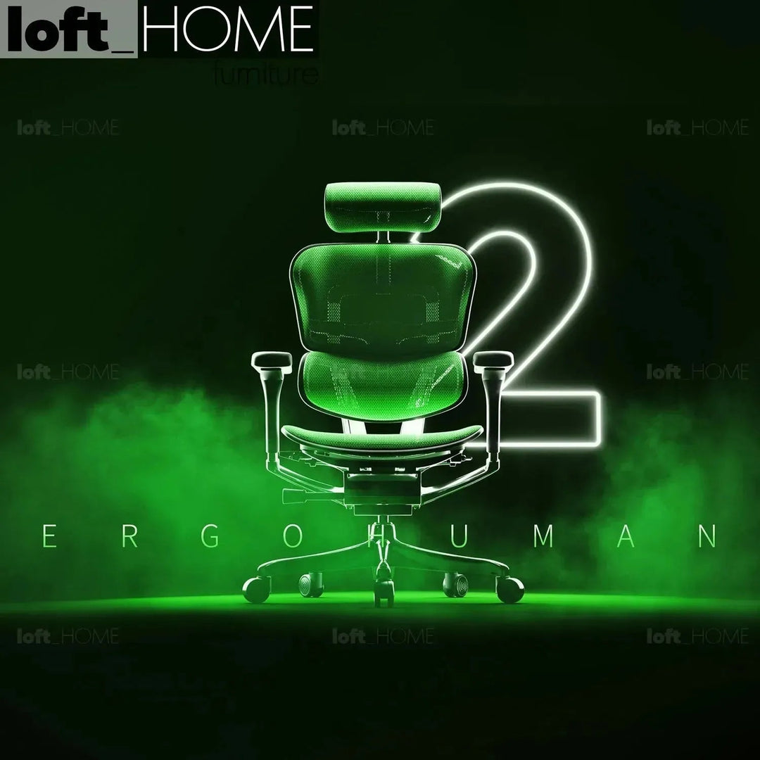 Modern Mesh Ergonomic Office Chair Black Frame ERGOHUMAN E2