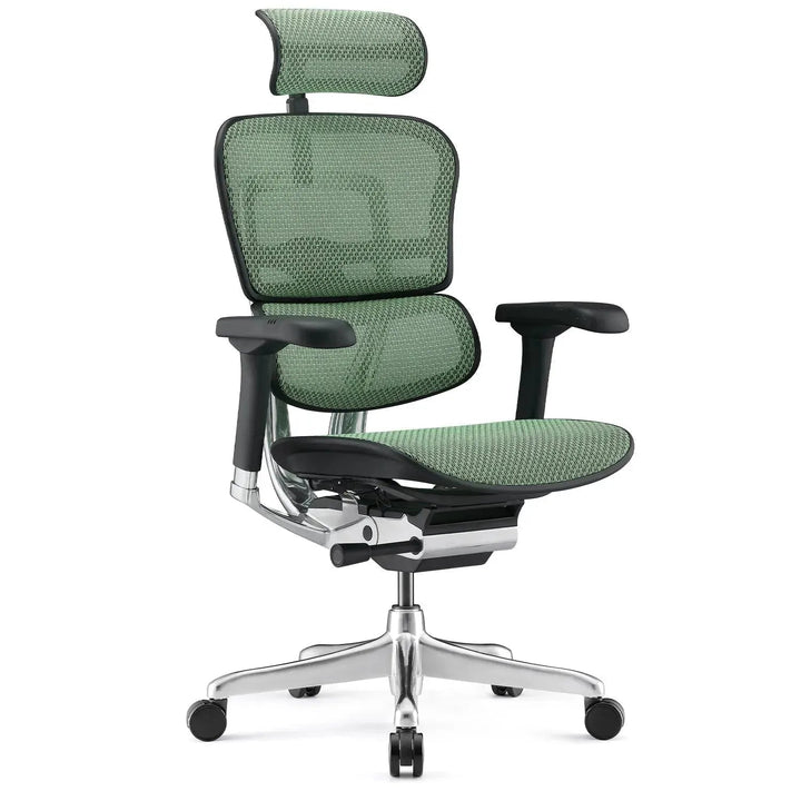 Modern Mesh Ergonomic Office Chair Black Frame ERGOHUMAN E2