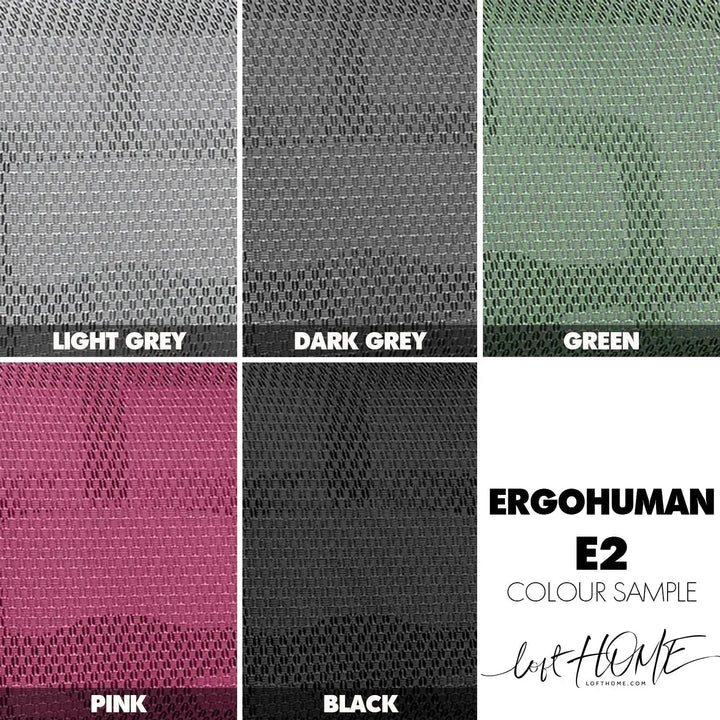 Modern Mesh Ergonomic Office Chair Black Frame ERGOHUMAN E2