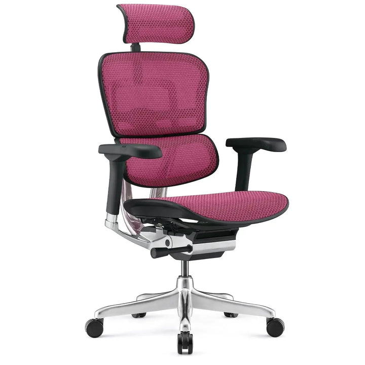 Modern Mesh Ergonomic Office Chair Black Frame ERGOHUMAN E2