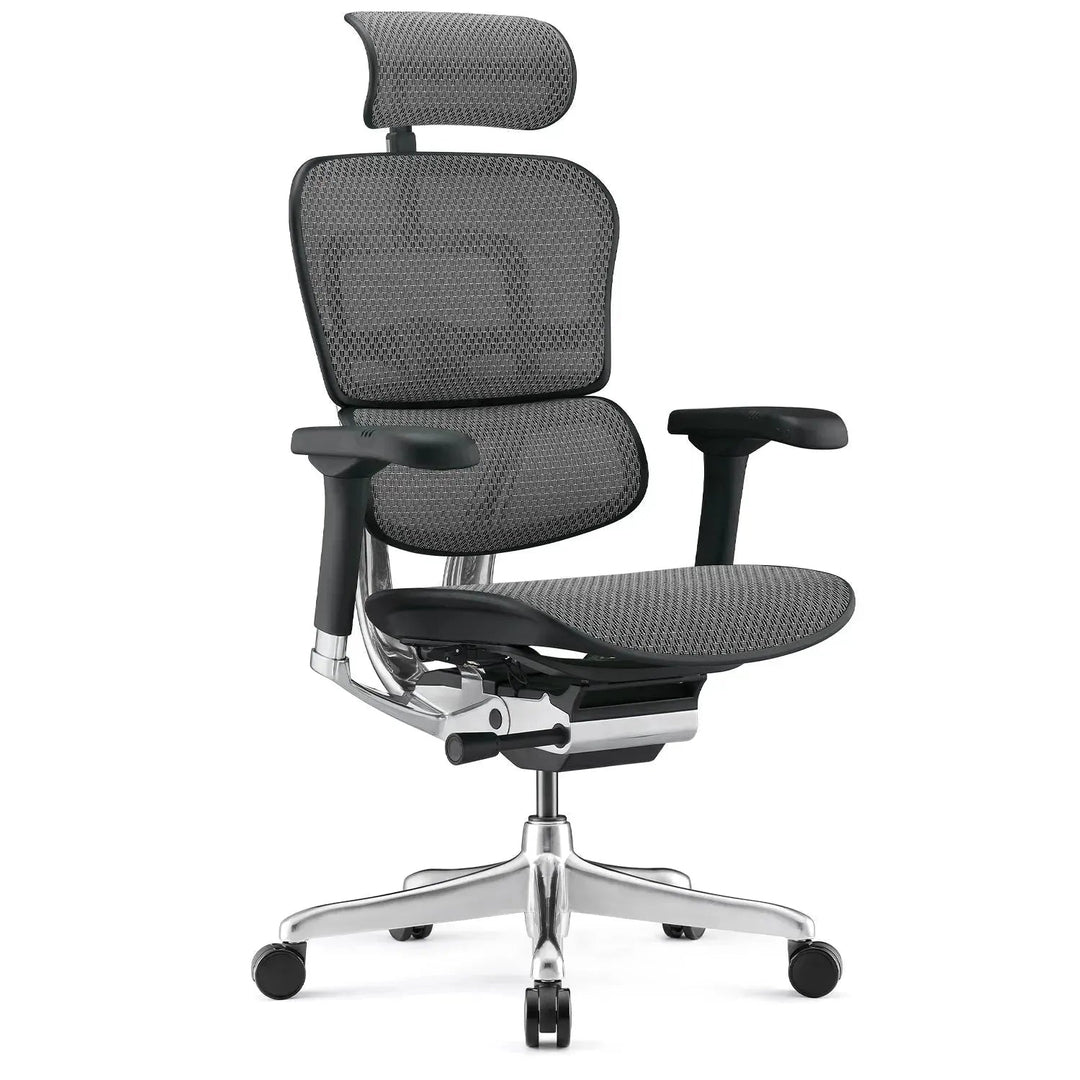 Modern Mesh Ergonomic Office Chair Black Frame ERGOHUMAN E2