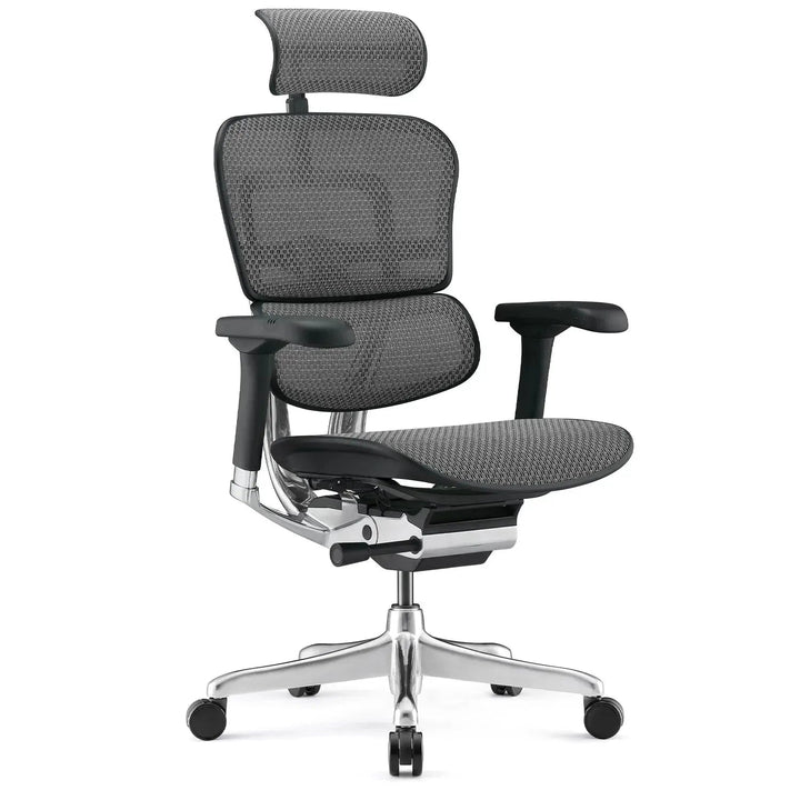 Modern Mesh Ergonomic Office Chair Black Frame ERGOHUMAN E2