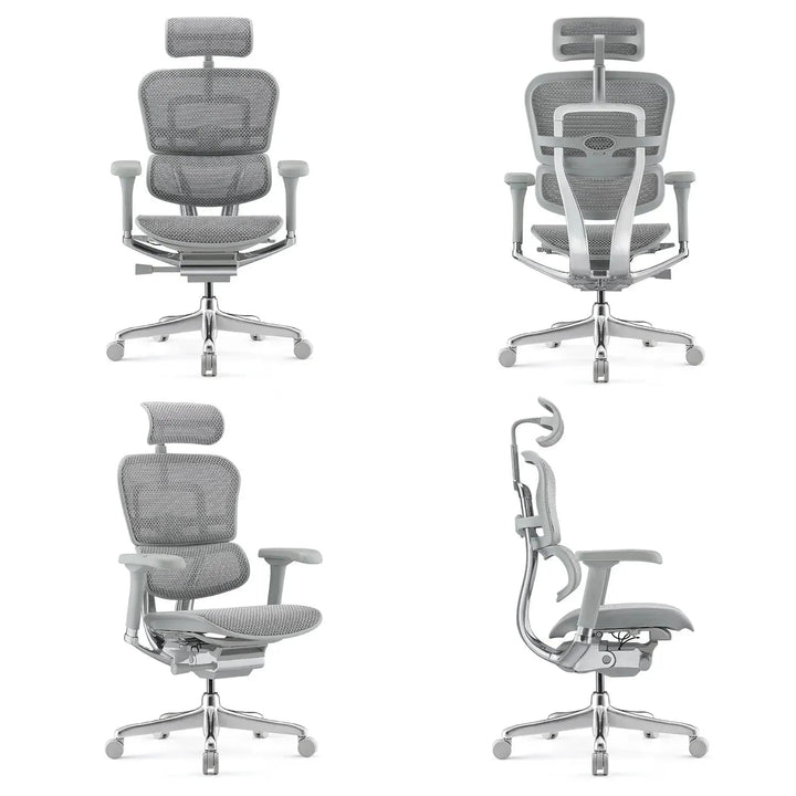Modern Mesh Ergonomic Office Chair Grey Frame ERGOHUMAN E2