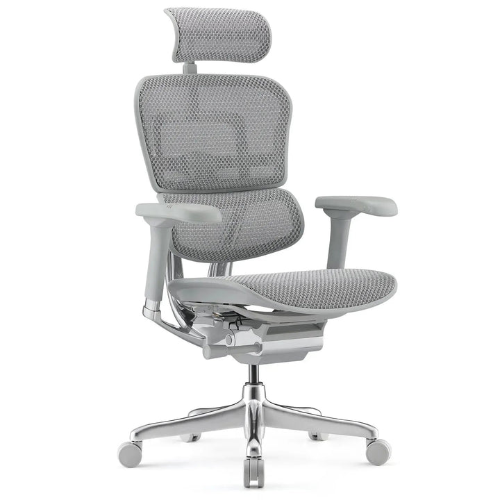 Modern Mesh Ergonomic Office Chair Grey Frame ERGOHUMAN E2