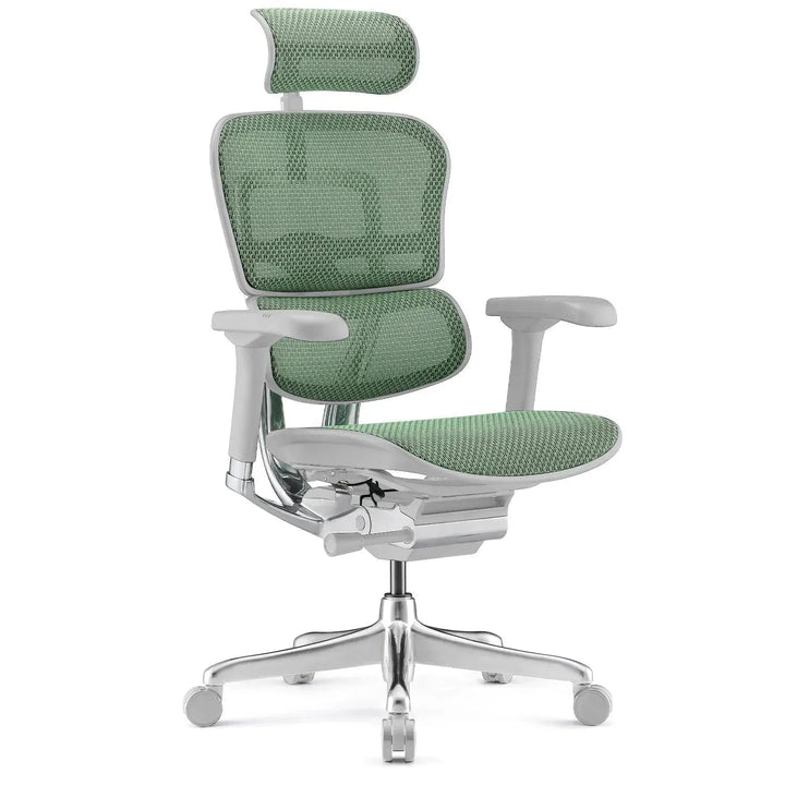Modern Mesh Ergonomic Office Chair Grey Frame ERGOHUMAN E2