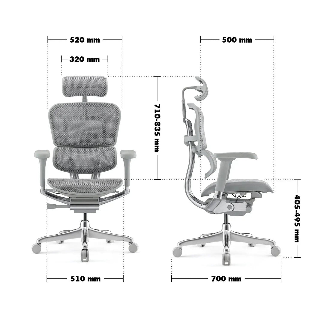 Modern Mesh Ergonomic Office Chair Grey Frame ERGOHUMAN E2