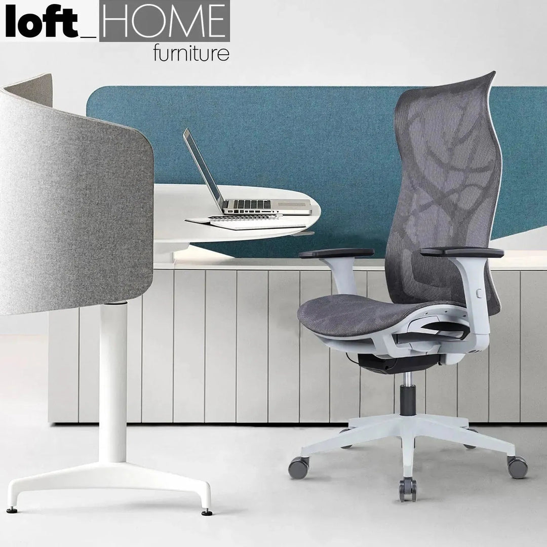 Modern Mesh Ergonomic Office Chair SIT