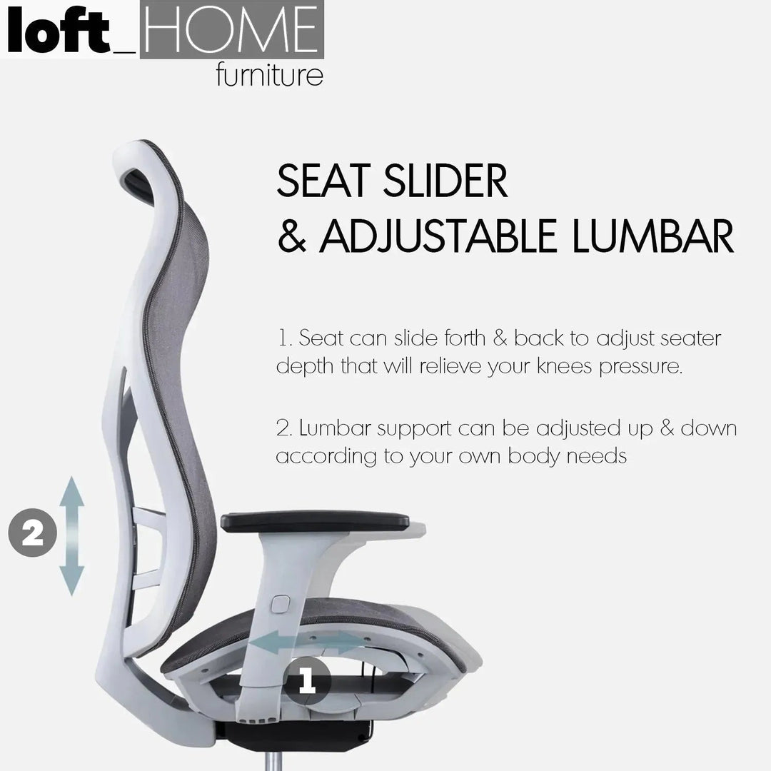 Modern Mesh Ergonomic Office Chair SIT