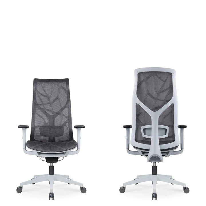 Modern Mesh Ergonomic Office Chair SIT