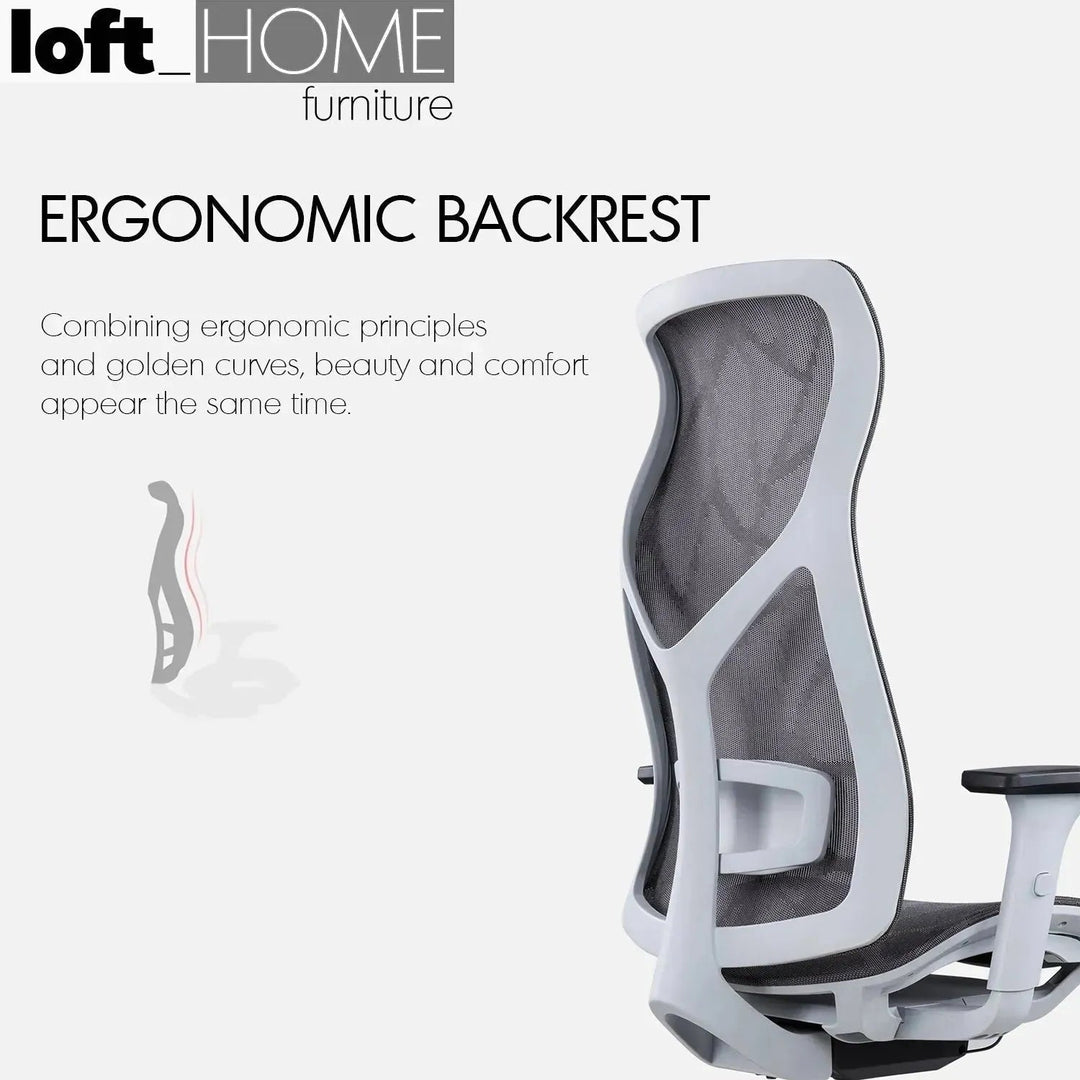 Modern Mesh Ergonomic Office Chair SIT