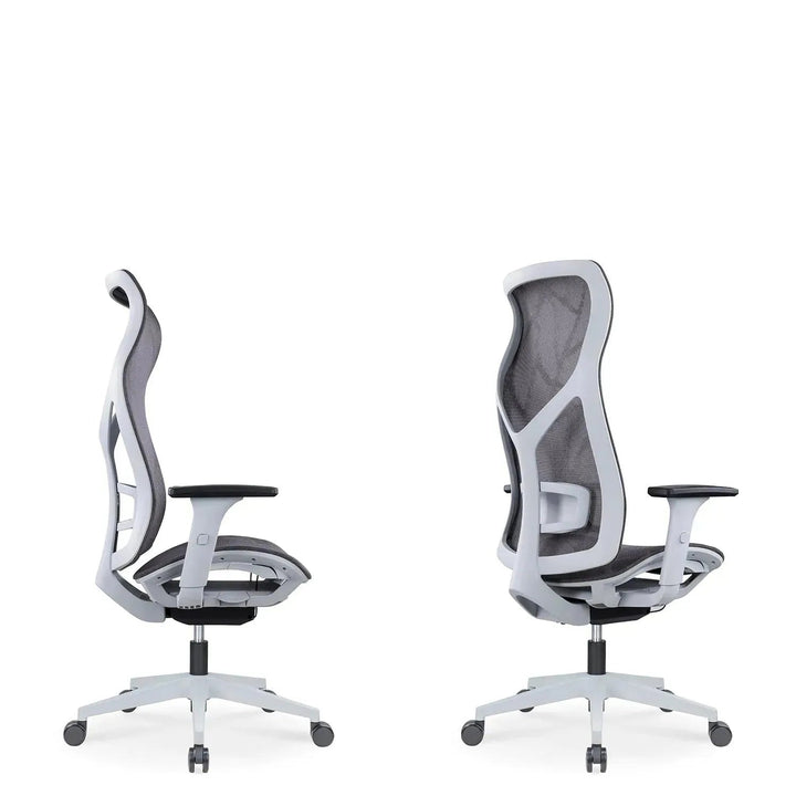 Modern Mesh Ergonomic Office Chair SIT