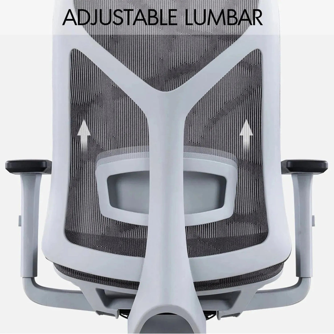 Modern Mesh Ergonomic Office Chair SIT