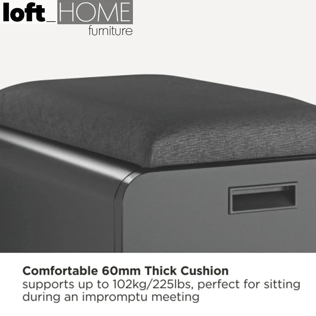 Modern metal two drawer locking mobile file cabinet with seat material variants.