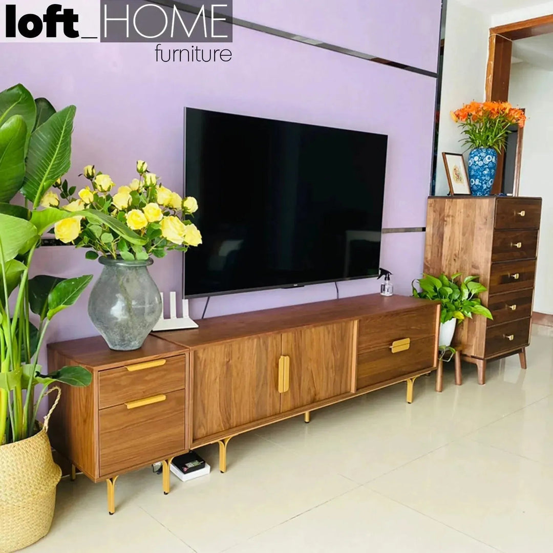 Modern Plywood TV Console GRETA