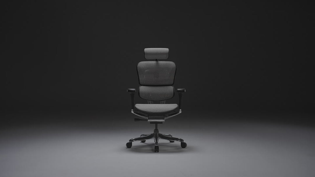 Modern Mesh Ergonomic Office Chair Black Frame ERGOHUMAN E2