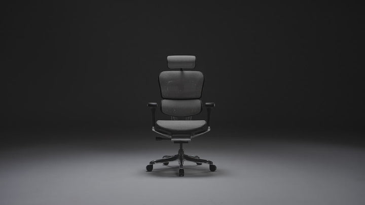 Modern Mesh Ergonomic Office Chair Black Frame ERGOHUMAN E2