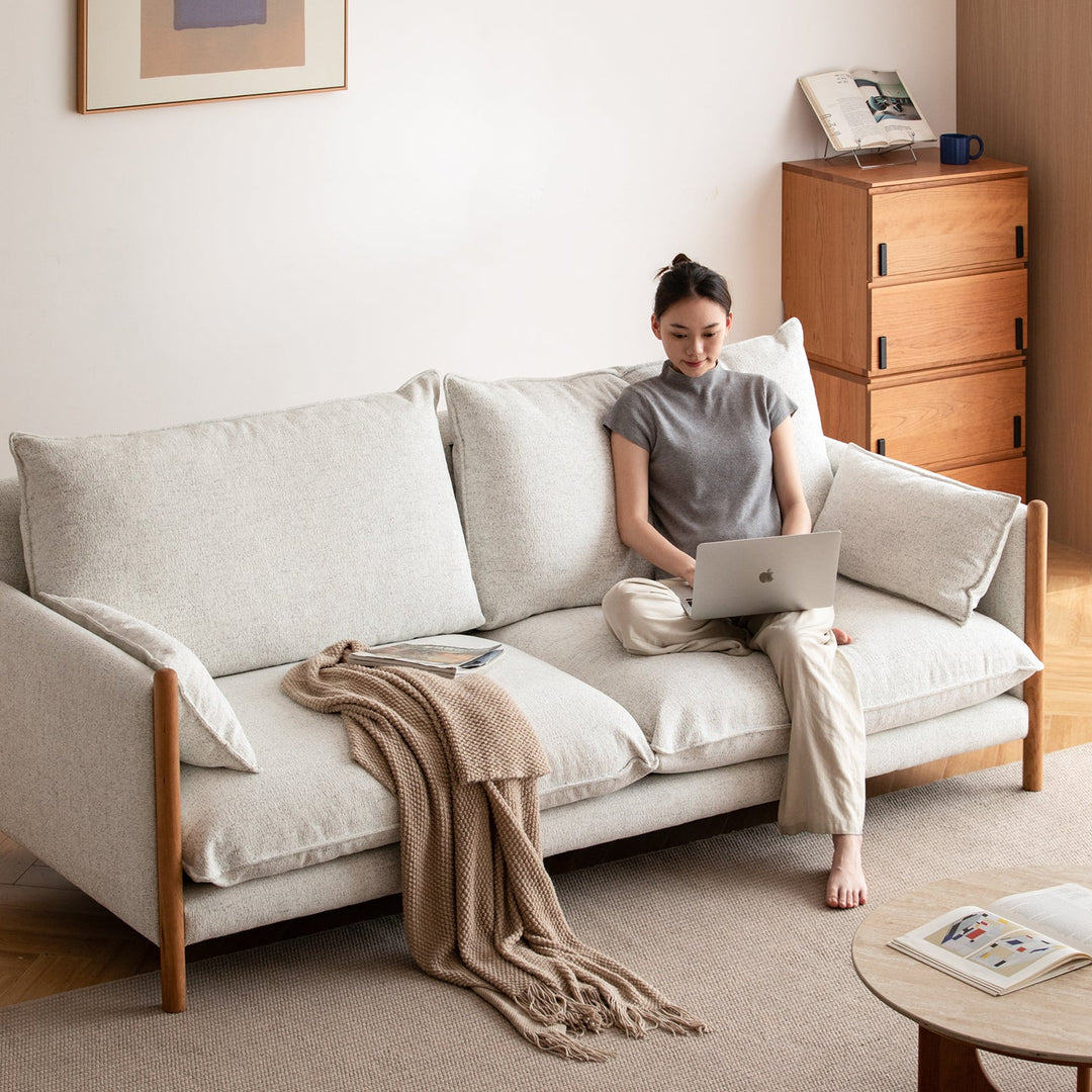 Scandinavian chenille velvet cherry wood 4 seater sofa sea salt material variants.