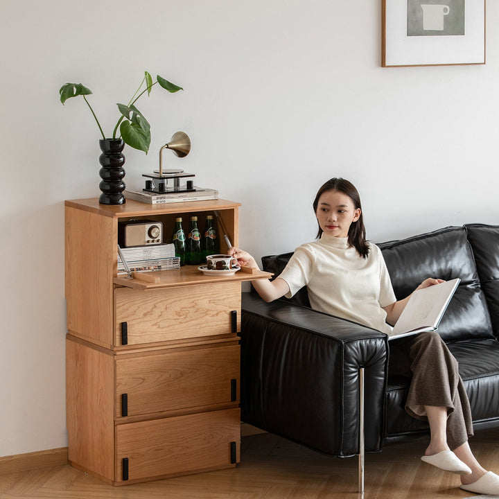 Scandinavian Cherry Wood Cabinet DOTTIE