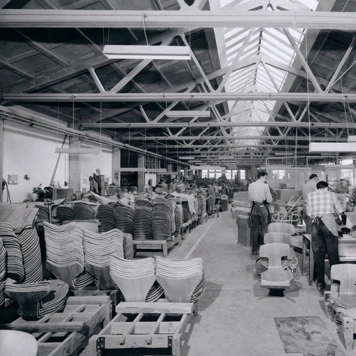 Contemporary Plastic Dining Chair ANT