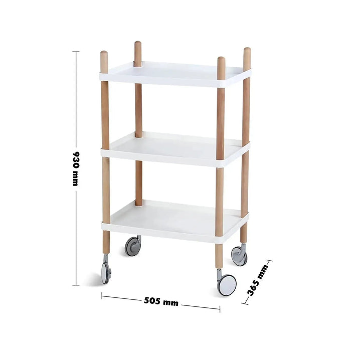 Modern Plastic Wheeled Trolley Side Table DANISH 3