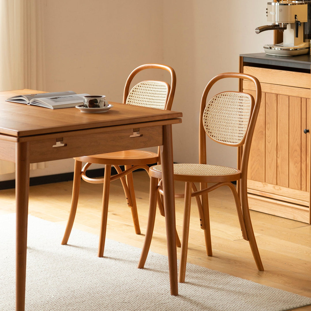 Scandinavian rattan dining chair german in real life style.