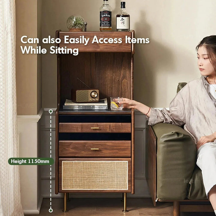 Japandi wood cabinet goya environmental situation.