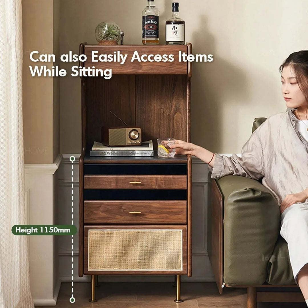 Japandi wood cabinet goya environmental situation.