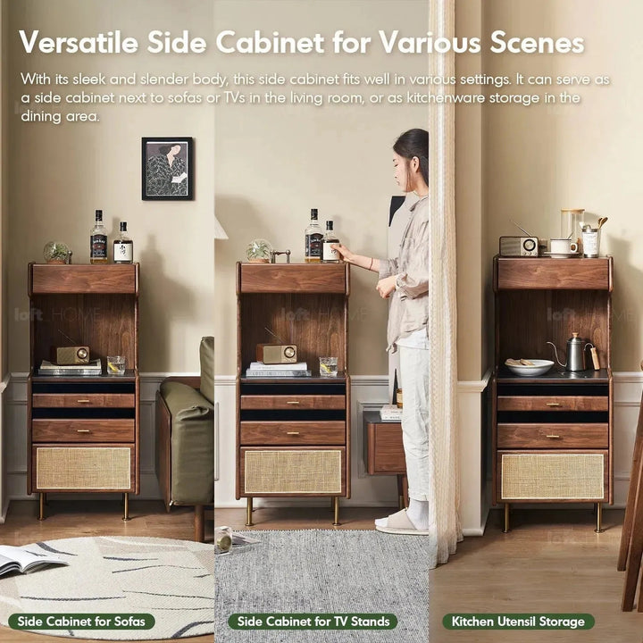 Japandi wood cabinet goya color swatches.