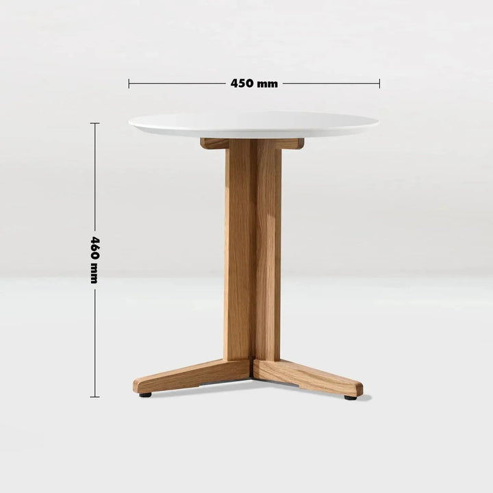 Modern Wood Side Table NICK
