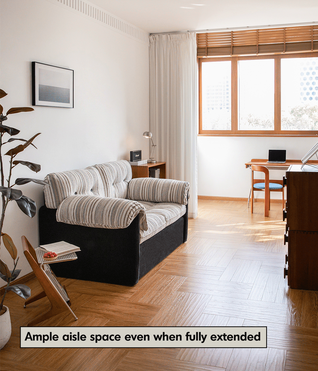 Vintage Chenille Velvet Fabric 2 Seater Sofa Bed ZIRU