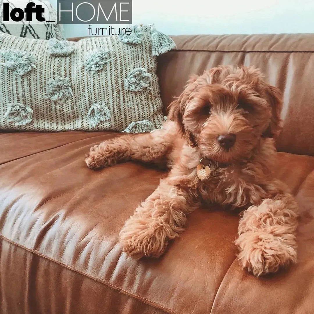 Vintage Genuine Leather 1 Seater Sofa ANTIQUE MASTER