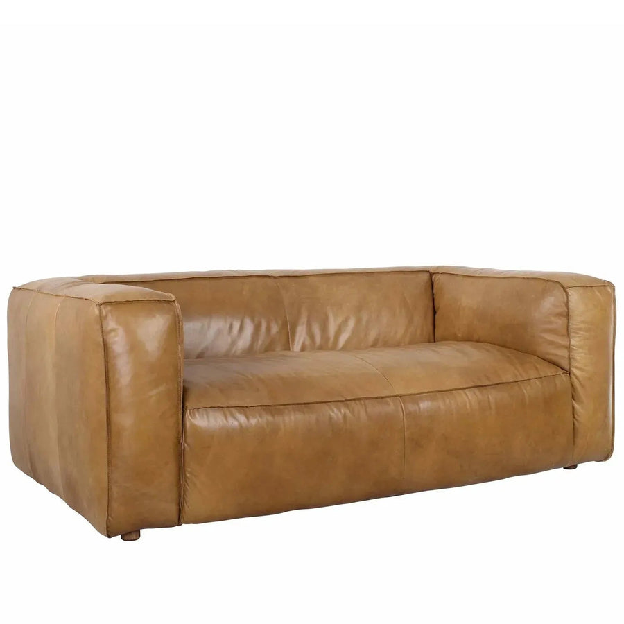 Vintage genuine leather 2 seater sofa antique master primary product view.