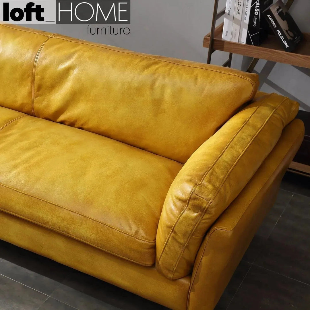 Vintage genuine leather 2 seater sofa magina situational feels.