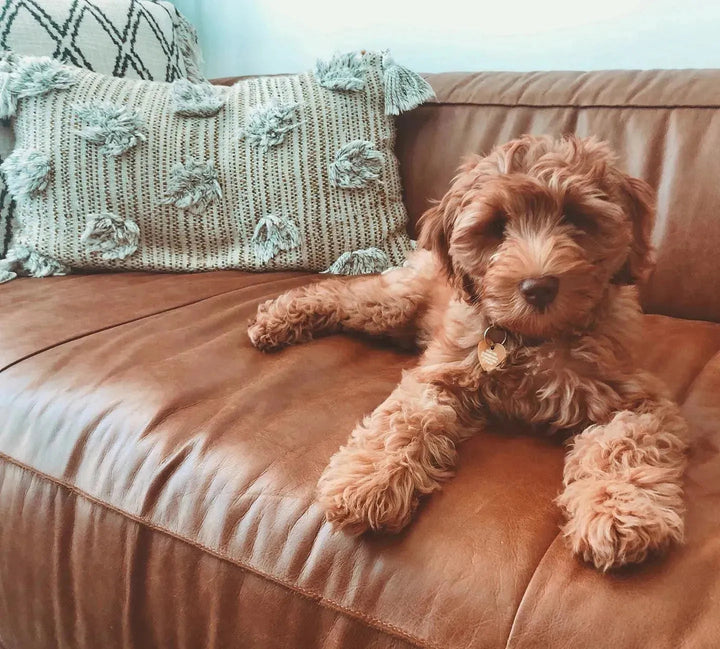 Vintage Genuine Leather 4 Seater Sofa ANTIQUE MASTER